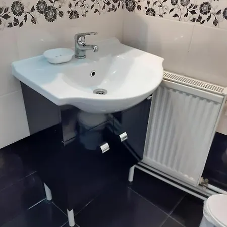 Lion Guest house Sibiu